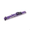 Dog Collar - NOBBY PET - Soft Grip - Continuously Adjustable - Comfortable Lining - All Conditions