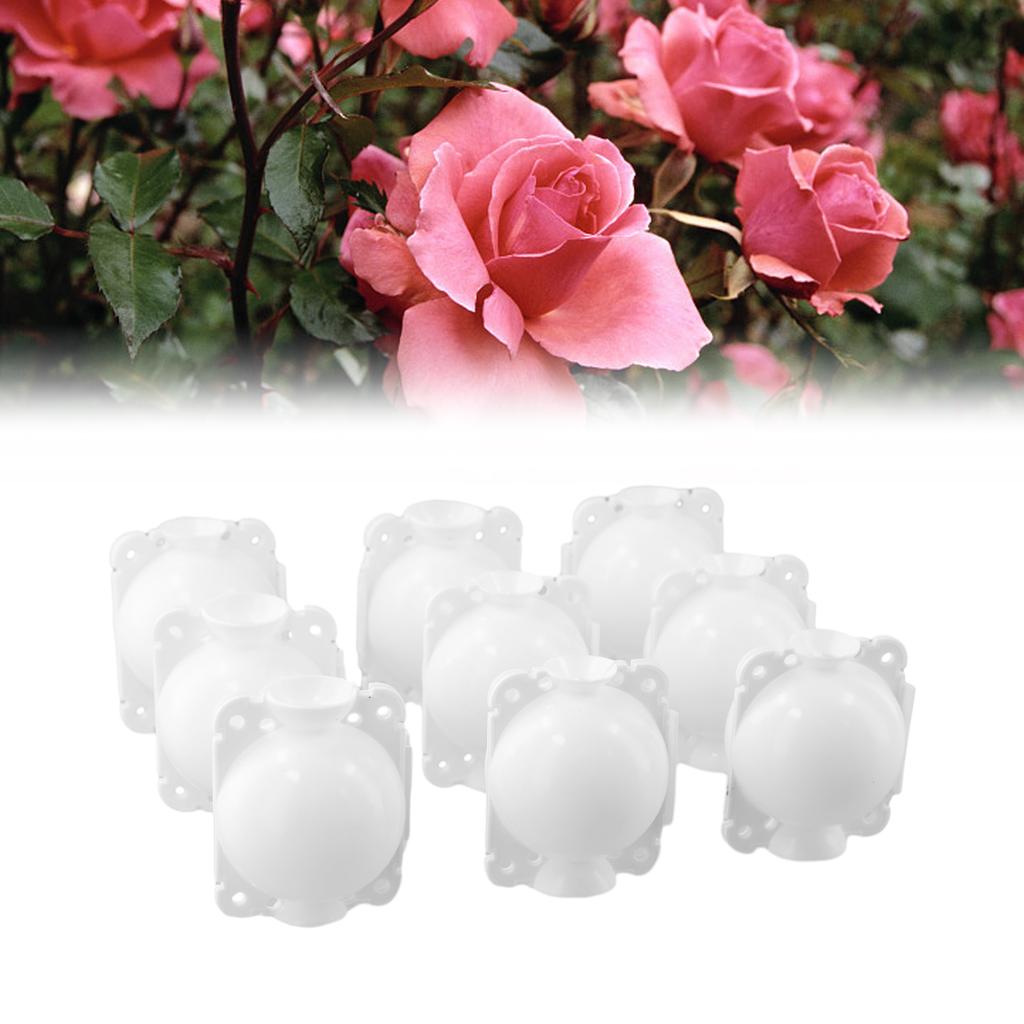 10Pcs Reusable Plant Root Growing Box Plant Rooting Box Shell High Pressure Propagation Ball Garden Graft Box White/Transparent