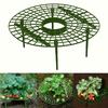 Round Plastic Plant Support Grid with Stakes for Garden Flower and Vegetable Protection Pack of 5 Pieces