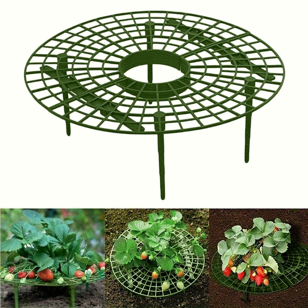 Round Plastic Plant Support Grid with Stakes for Garden Flower and Vegetable Protection Pack of 5 Pieces