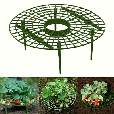 Round Plastic Plant Support Grid with Stakes for Garden Flower and Vegetable Protection Pack of 5 Pieces