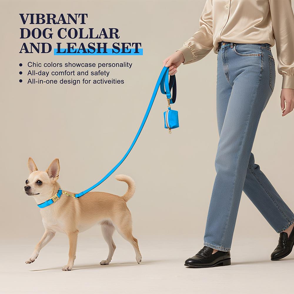 Personalized Dog Collar Leash Bag Colorful Dog Collars Durable Nylon Pet Buckle Necklace With Leashes Poop Bag Soft for Dogs Pug