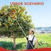 High-Altitude Telescopic Fruit Picker Basket - New Model for Peach and Vineyard Gardening.