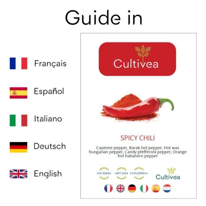 Mini Kit Graines Piments BIO*