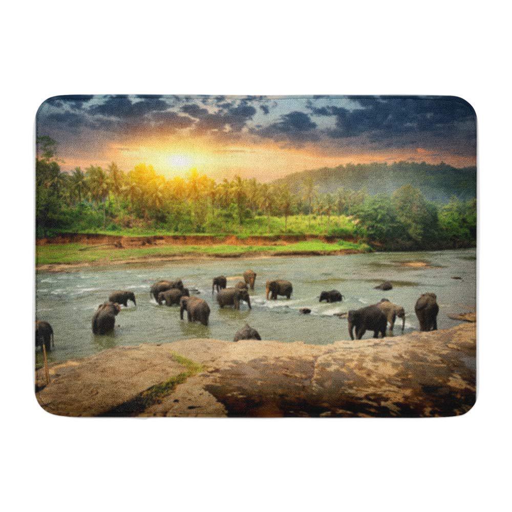 Buy Herd Elephants Bathing In The Jungle River Sri Lanka Doormat Floor