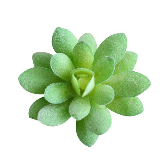 1 Stück künstliche Sukkulente Garten lebensechte DIY Home Office Bonsai Dekor