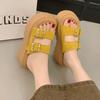 Fashion Shoes Woman 2025 House Slippers Platform Shale Female Beach Heeled Mules Pantofle Sabot High New Slides Shoes Ladies' Slippers P