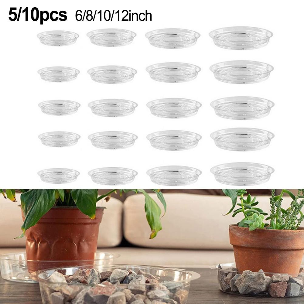 Plant Saucers 10 Inches 12 Inches 6 Inches 8 Inches