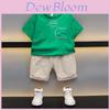 Chic Boys Summer Outfit Set Stylish Short Sleeve Cotton T-shirt And Shorts For Ages 3 To 8