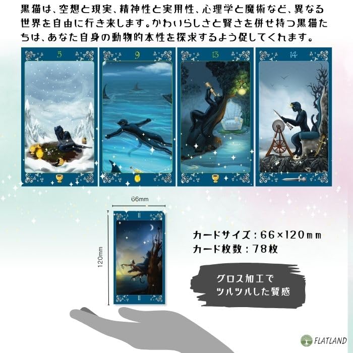Black Cats Tarot Reading Japanese Instruction Manual Authentic Tarot 78 Cards Tarot, Instructions, Included, Cards,