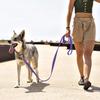 2CM Wide Waterproof Dog Leash Long Pvc Pet Leashes Easy To Clean Rope for Small Medium Large Big Dogs Walking Traning Lead