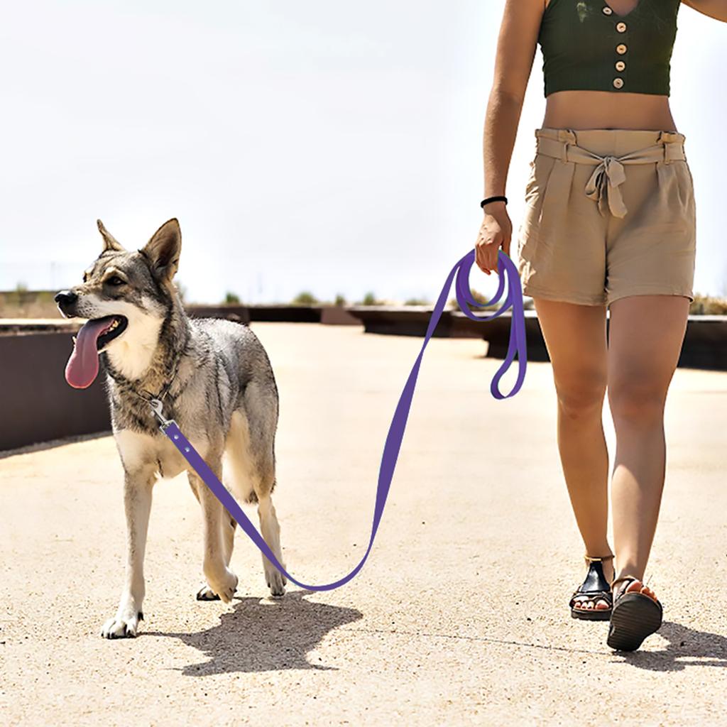 2CM Wide Waterproof Dog Leash Long Pvc Pet Leashes Easy To Clean Rope for Small Medium Large Big Dogs Walking Traning Lead
