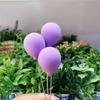 2PC Random Confess Balloons Car Balloons Cute Little Fresh Car Accessories Wedding Decor