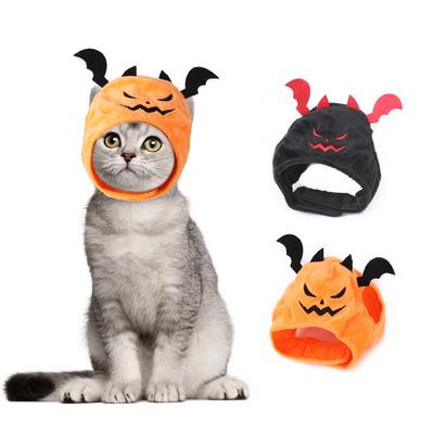 Kedi – Kediler için giyim