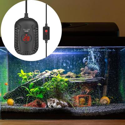 Fische & Meerestiere – Aquarienpflege