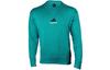 Sweatshirts Men's Green Crew Neck Moderate Regular GR4255