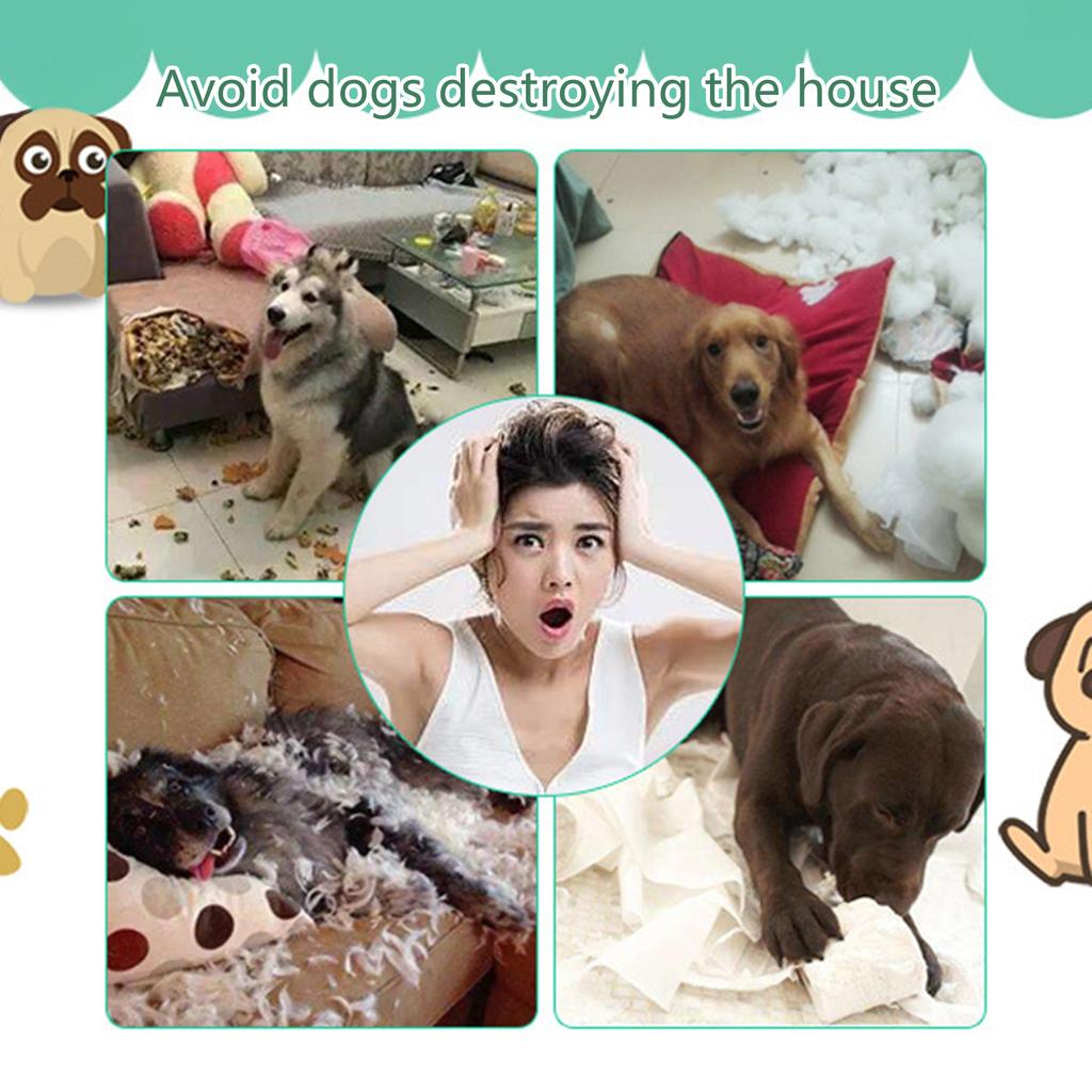 Dog Cotton Rope Toy Chew Teeth Cleaning Bite Knot Ball Interactive Toys For Small Medium Puppy Golden Retriever Border Collie