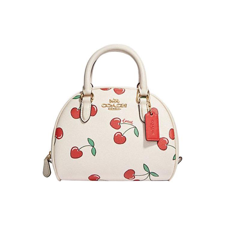 New COACH Sydney Canvas With Leather Shoulder Bag Crossbody Bag Handbag Small Size Women's White CF421-IMCAH