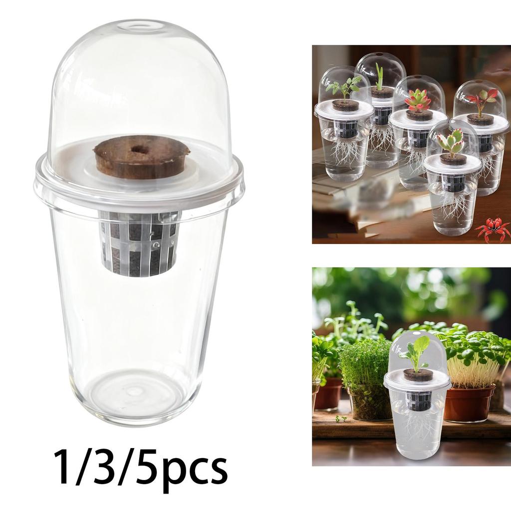 Hydroponics Growing System Garden Hydroponics Supplies Planting Container with Dome,grow Sponge,Basket for Yard Beet Kitchen Lab