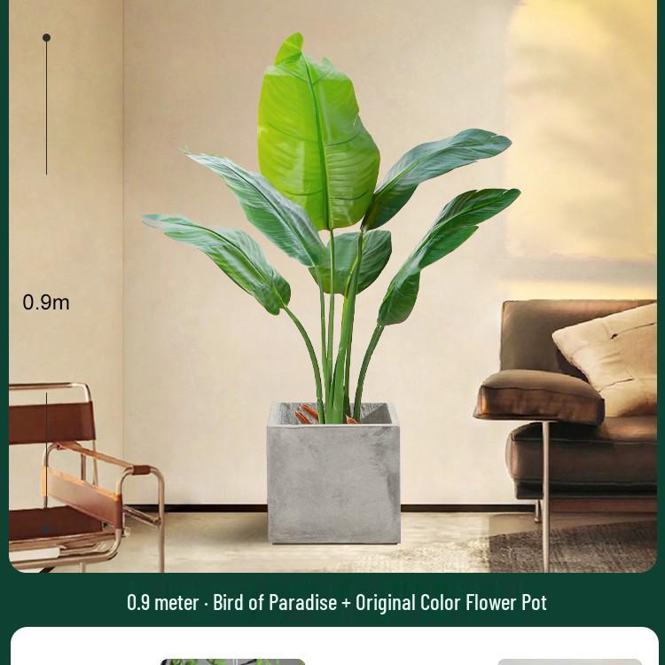 High-End Indoor Bird of Paradise Decor: Luxury Potted Traveler's Palm