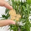 Rich Horse Gold Foil Money-Attracting Phone Sticker - Boost Wealth and Prosperity