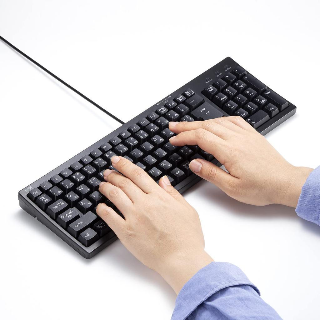 Sanwa Supply Kompakte Tastatur mit USB-Hub Schwarz mit Ziffernblock (SKB-KG2UH2BK)