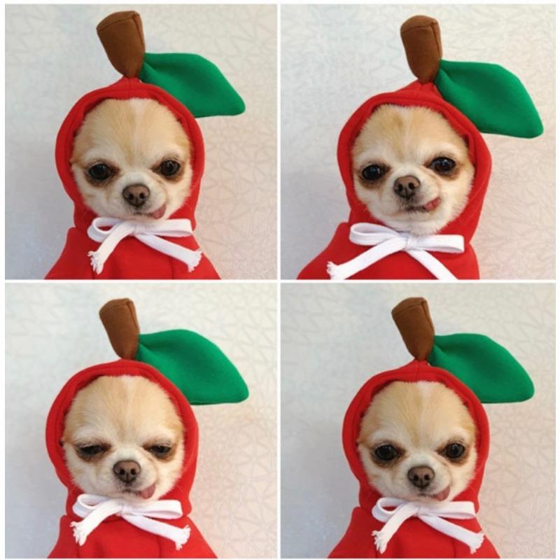 Dog Clothes Transform Into Dog and Cat Clothes Small and Medium-sized Dog Autumn and Winter Pets Teddy Dog Fighting Cat Clothing