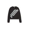 Puma Hoodie 679849