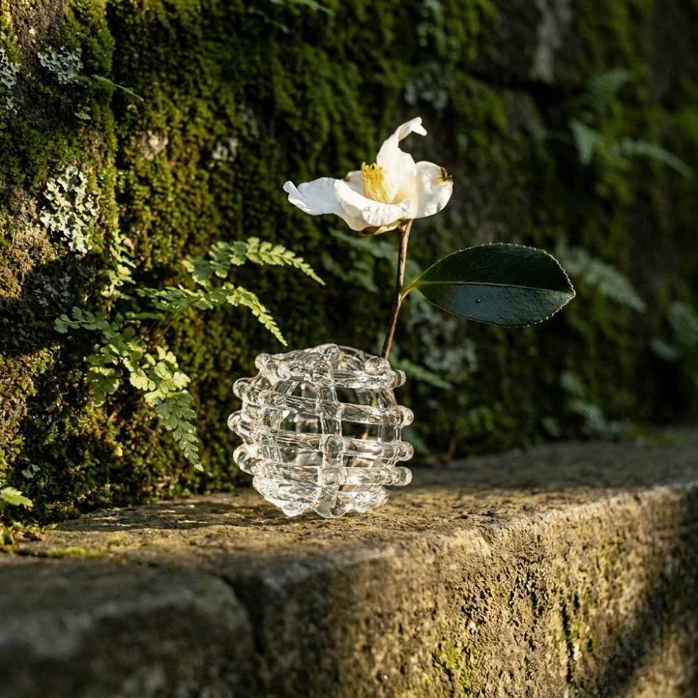 Transparent Glass Ball Vase Zen-Inspired Design Hydroponic Flower Vase Flower Arrangement