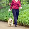 Guinzaglio Retrattile in Nylon per Cani Guinzaglio Automatico Estensibile per Animali Guinzagli per Passeggiate con Cani per Gatti Cuccioli Cani Piccoli Chihuahua Yorkshire