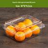 Disposable Transparent Plastic Food Containers with Lids