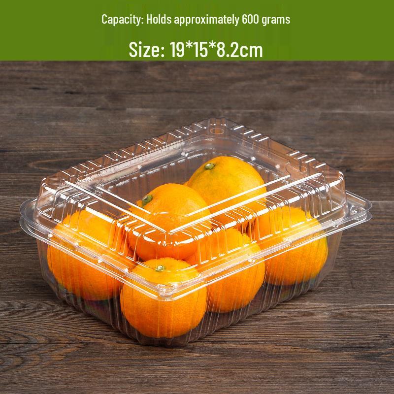 

Disposable Transparent Plastic Food Containers with Lids