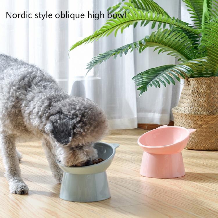 Raised Cats Food Bowls with Stand Cats Dish for Food or Water Tilted Feedi