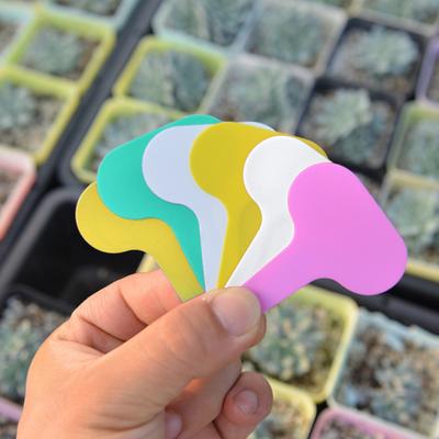 100 Pz/Set Etichetta Pianta Marcatore Giardinaggio Piantagione Fiore Albero Ortaggio Etichette Fattoria