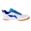 Li Ning Cushioning Abrasion Resistant Low Top Table Tennis Shoes Unisex APPV011-10