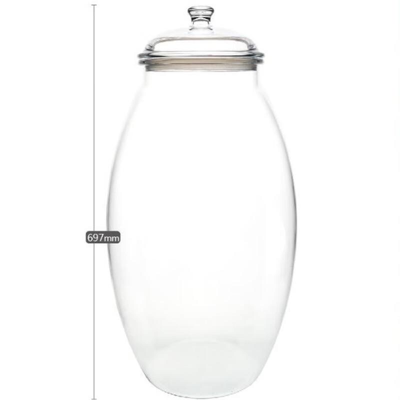 35L Large PC Transparent Storage Container