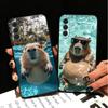Animal Capybara Cute Soft Phone Case for Samsung A17 A37 A57 A16 A26 A36 A56 A15 A25 A35 A55 A14 A24 A34 A54 A13 A23 A33 A53 A52