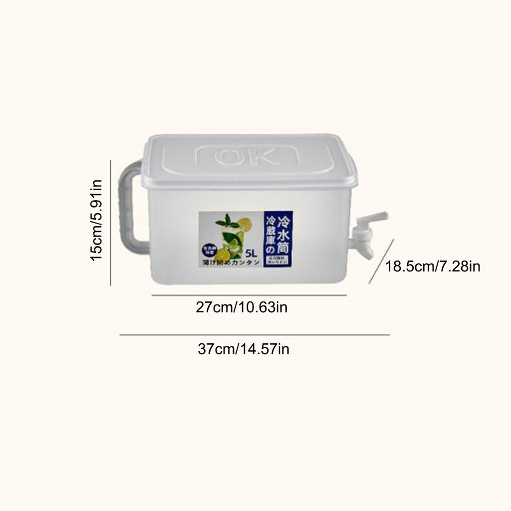 5L Drink Dispenser High Capacity Leakage Proof Beverage Dispenser with Spigot for Fridge Party