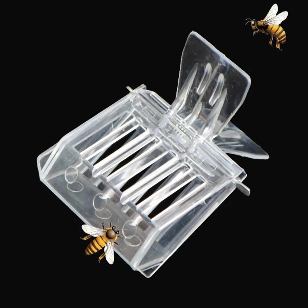 5/1Pcs Clear Clip Cage Beekeeping Queen Bee Cages Bee Catcher Equipment Tool for Beekeepers