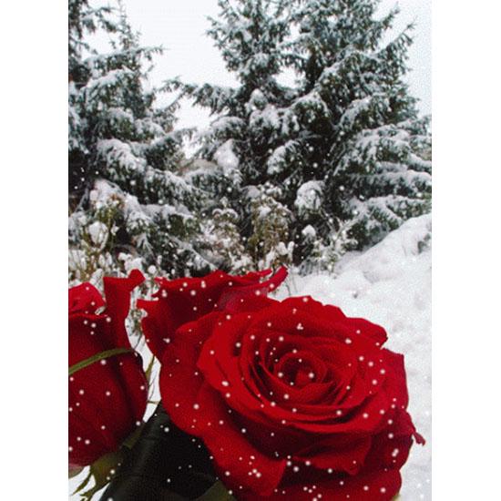 huacan 5D DIY Diamond Painting Rose Diamond Mosaic Embroidery Needlework Cross Stitch