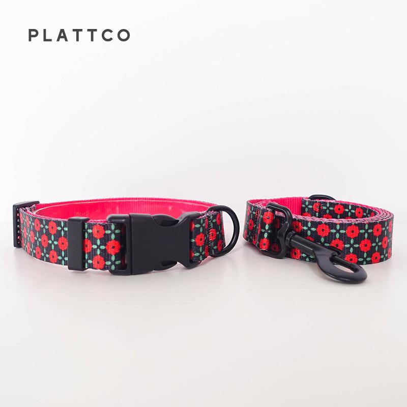 PLATTCO Durable Nylon Dog Leash & Collar Combo PDC303 Extra Small