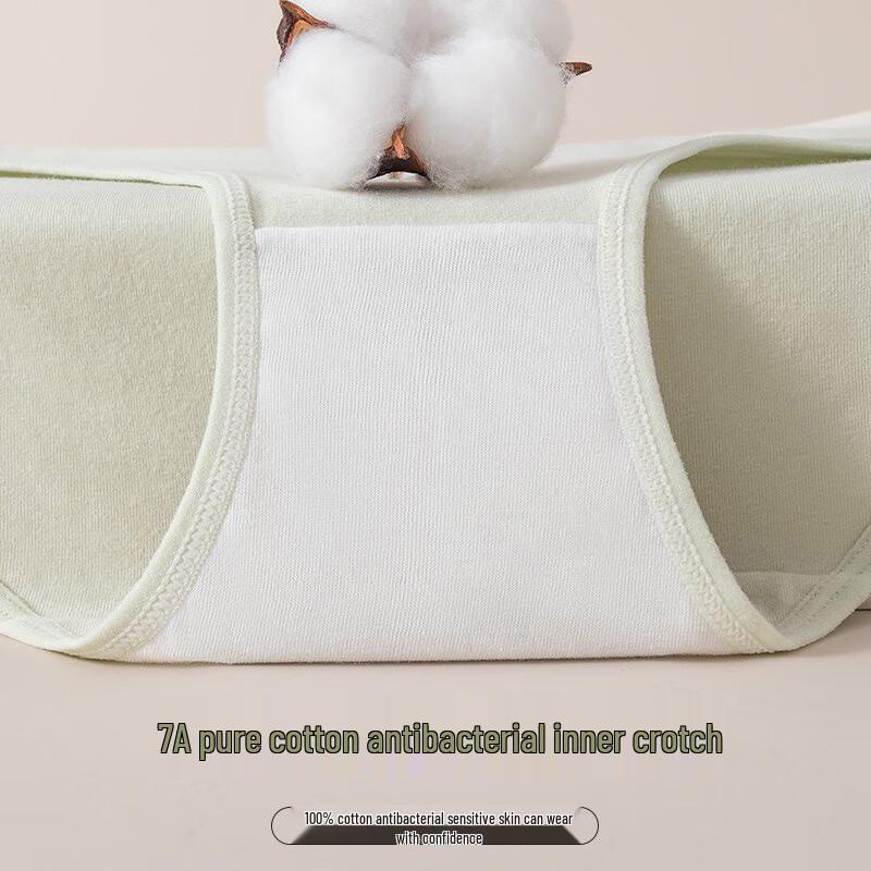 Women's Seamless Cotton Mid-Waist Briefs 4-Pack