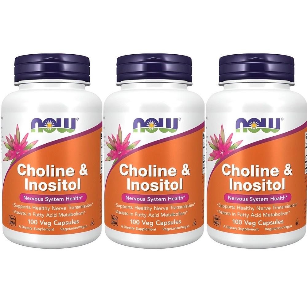 Foods Now Choline & Inositol 500mg Capsules 100 Tablets 3 pcs