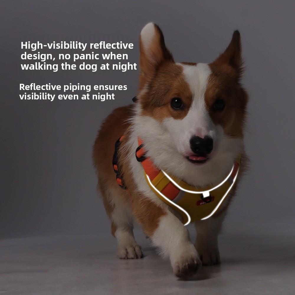 Pet Nylon Reflective Harness With Leash For Small Dogs And Puppies