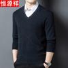 Hengyuanxiang Men's V-Neck Pure Wool Pullover Sweater