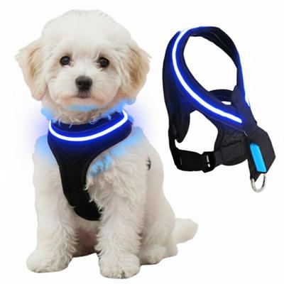 Köpek – Köpek Tasmaları ve Tasma Kayışları