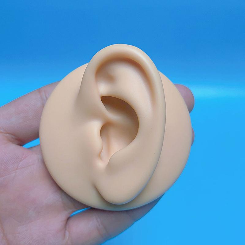 1:1 Silikon-Ohrmodell, professionelle Praxis-Piercing-Werkzeuge, Schmuckanzeige