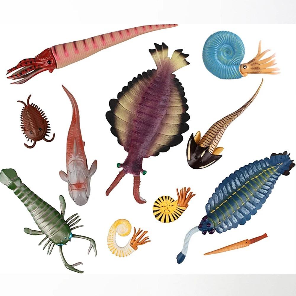 Plastic Ancient Marine Animal Toy Figures Nautilus,Baculites,Cephalaspis,Opabinia,Dunkleosteus Prehistoric Educational Toys