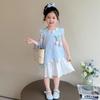 Girls Summer Sleeveless Princess Dress for Toddlers