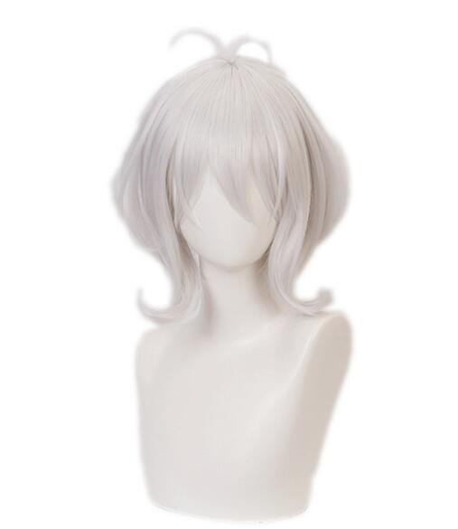 

Короткий парик Princess Connect! ре:Dive Natsume Kokoro Kokkoro Косплей Костюм Термостойкие синтетические волосы Женские парики Short Wig серебряный
